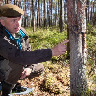 Margus Zupsmann näitamas, kuidas metsseakult märgib metsas oma piirkonda.